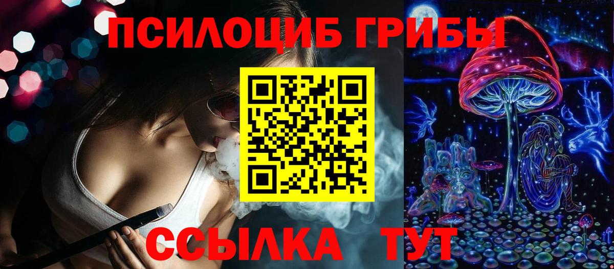 Галлюциногенные грибы ЛСД  Галлюциногенные грибы MAGIC MUSHROOMS  магазин продажи наркотиков  Чистополь  Вход с VPN 